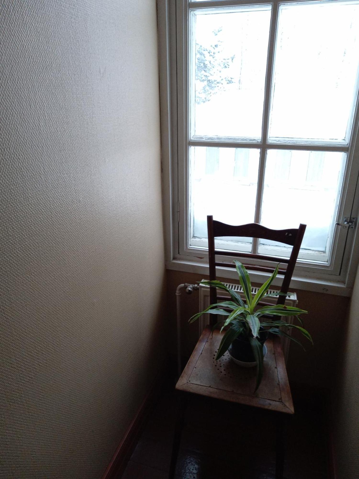 Warkhaus Apartments Korpela ヴァルカウス 部屋 写真